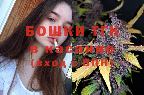 ПСИЛОЦИБИНОВЫЕ ГРИБЫ Заводоуковск
