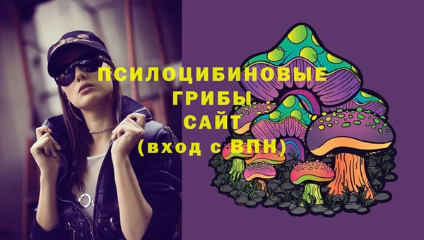 2c-b Зерноград
